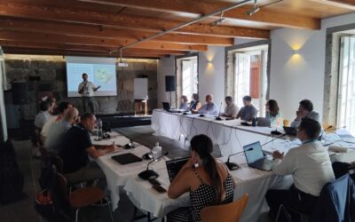 DRCID promove workshop “Discovering regional and local missions”